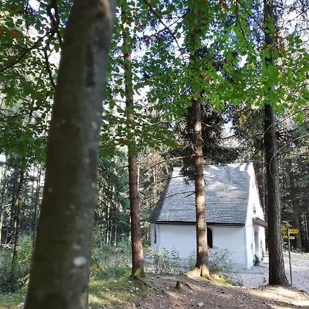 Freund * Münster